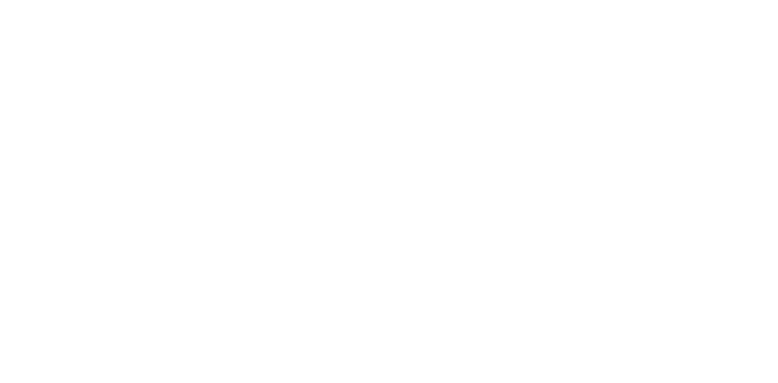 Gadget Insight Logo